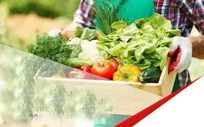 QRS Certification offers FSSC 22000 certification for food safety management systems. Our expert team provides thorough guidance to help your business meet international food safety standards and enhance consumer confidence. With our reliable and efficient certification services, you can ensure compliance with global food safety regulations and improve your operational processes.

